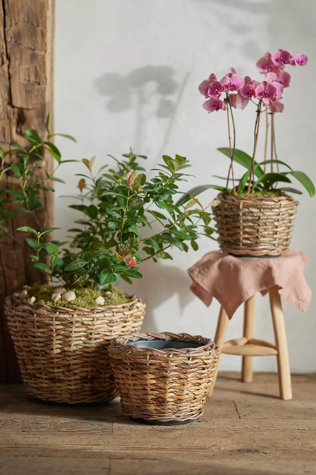 Woven Abaca Tapered Basket Planter | Anthropologie (US)
