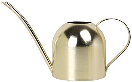 E.Palace Stainless Steel Water Can for Indoor Plants and Garden (Gold 30 oz) | Amazon (US)