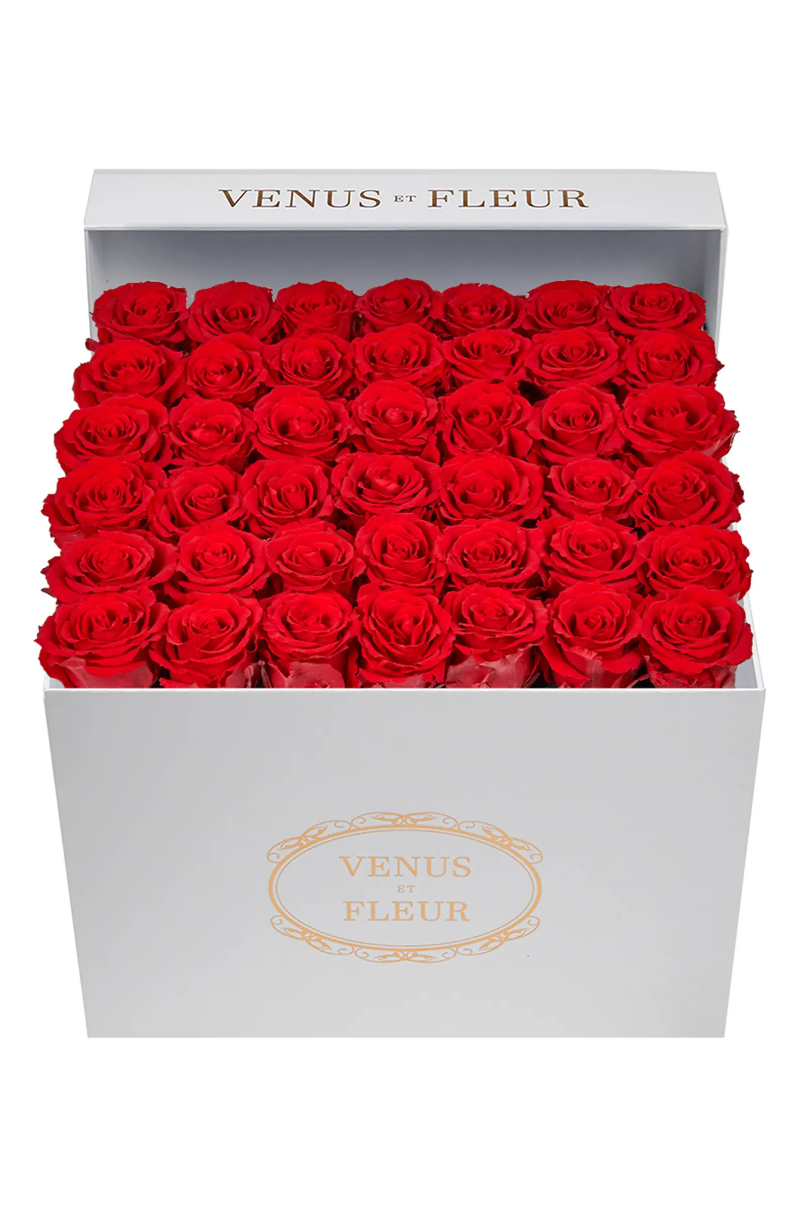 Venus ET Fleur Classic Large Eternity Roses | Nordstrom | Nordstrom