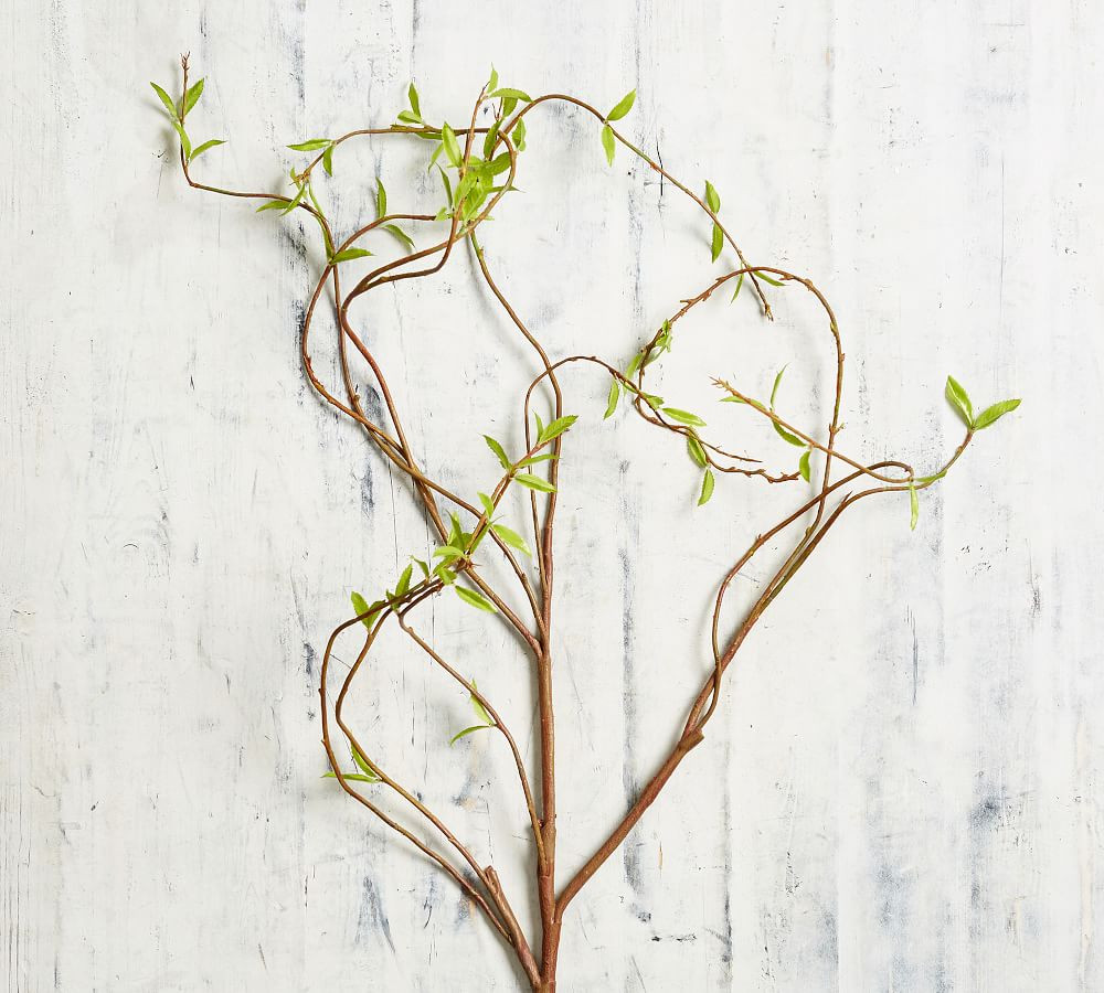 Faux Curling Willow Branch, Green | Pottery Barn (US)