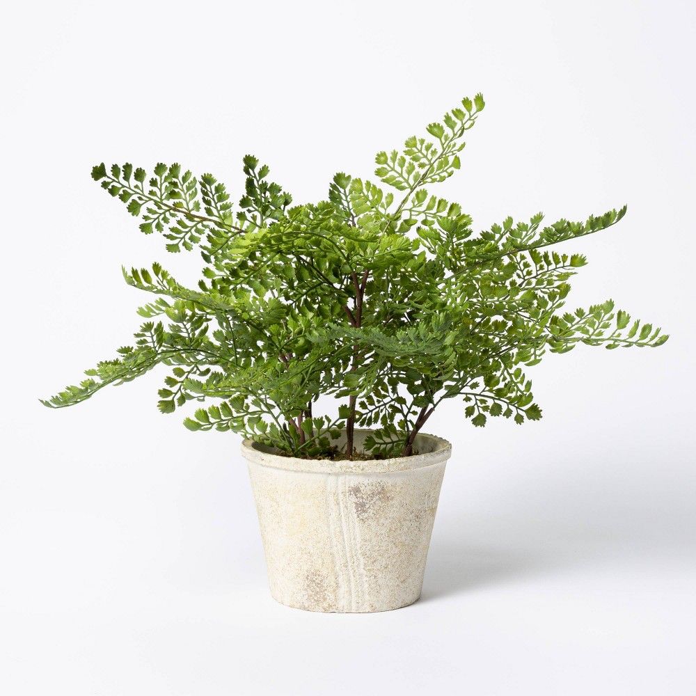 13"" x 13"" Artificial Fern Plant in Wood Pot - Threshold designed with Studio McGee | Target