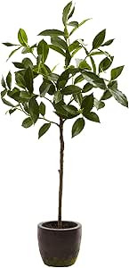 Amazon.com - Nearly Natural 5423 Topiary with Decorative Planter, 29-Inch , Green - | Amazon (US)