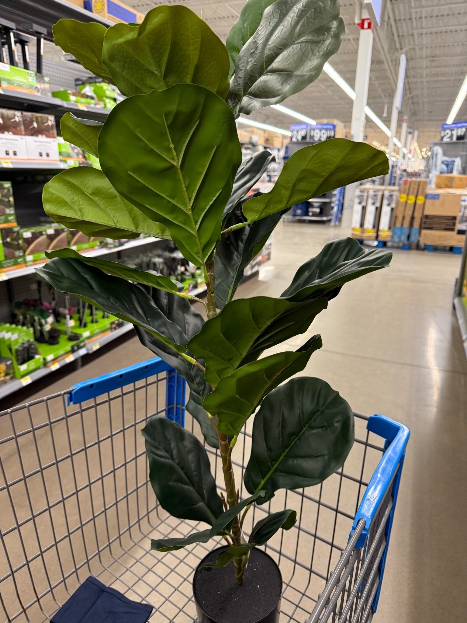 Faux plants under $20

#LTKcanada #LTKsummer #LTKhome