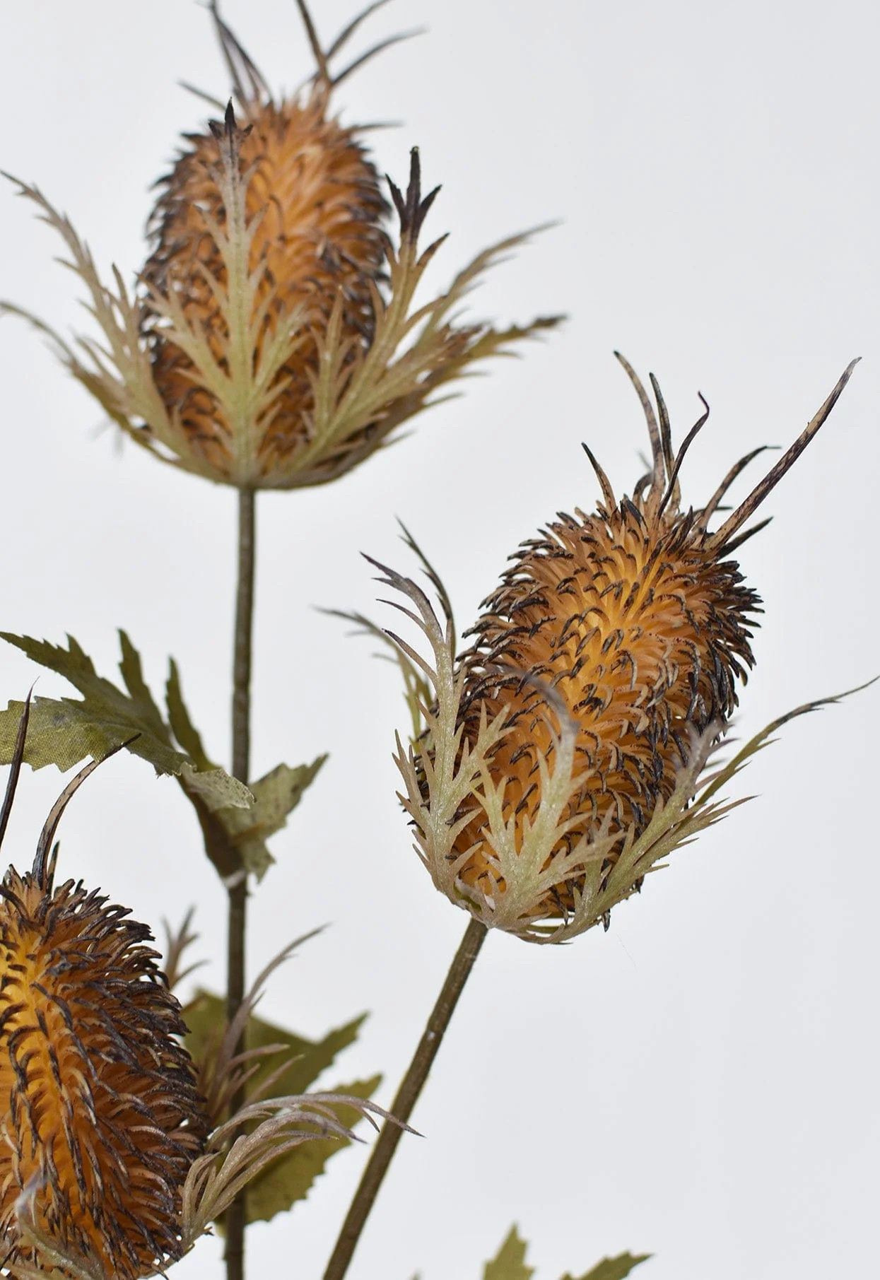 26" Faux Brown Thistle Stem | HouseFloral