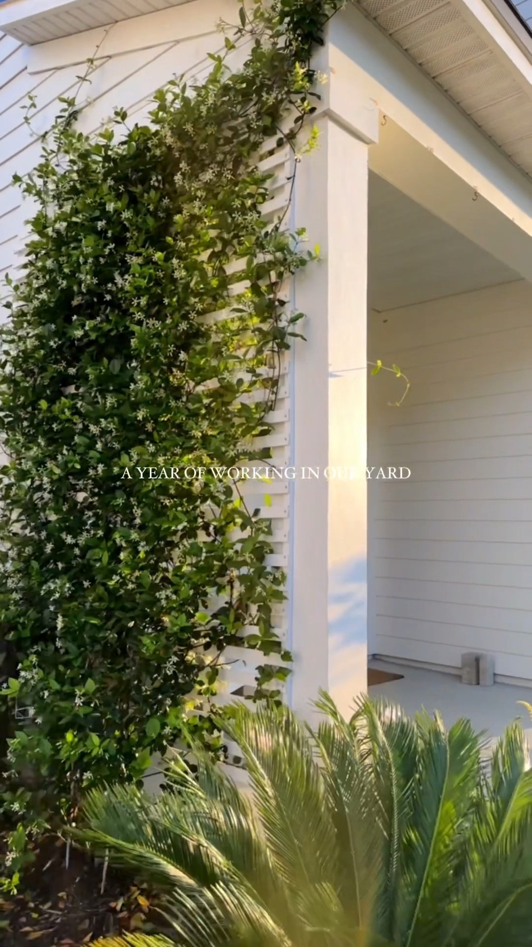 Our yard makeover 🪴 what we have done so far. Loving these large raised based planters. 

#LTKSeasonal #LTKHome