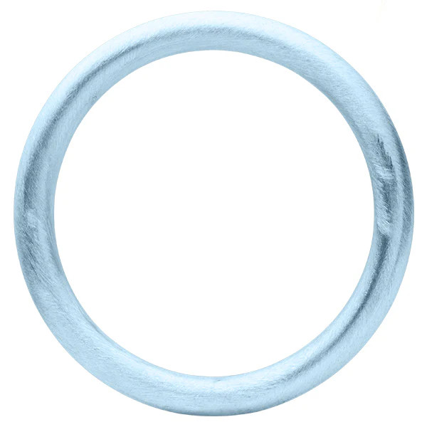 Ice Everybody's Favorite Bangle | Sheila Fajl