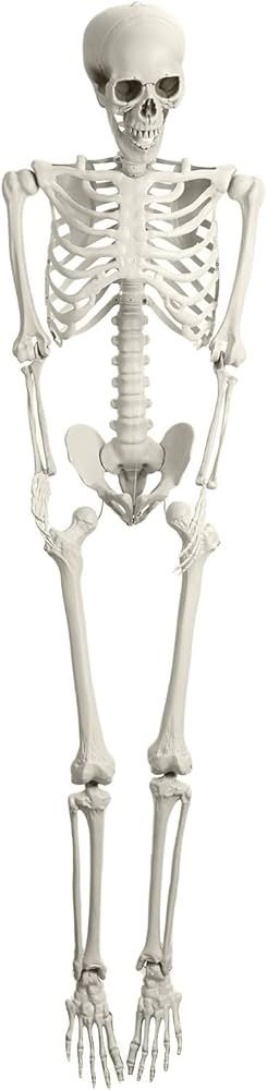 Halloween Life Size Skeleton, 5.4FT Skeleton Decor Realistic Full Body Bones Poseable Halloween S... | Amazon (US)