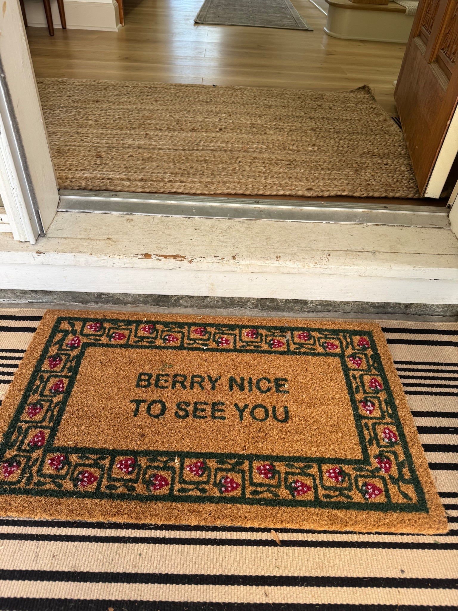 Strawberry door mat 🍓🍓🍓

#LTKHome #LTKSeasonal #LTKSummerEdit