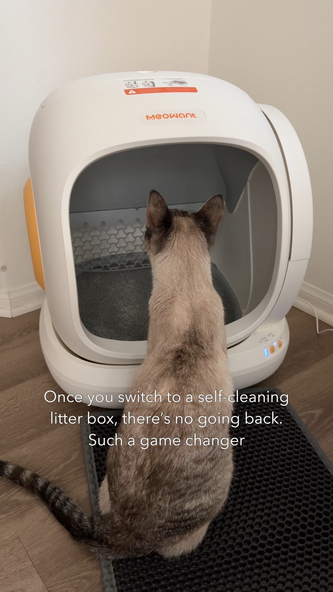 Yep. Never going back to a regular litter box.



#LTKHome