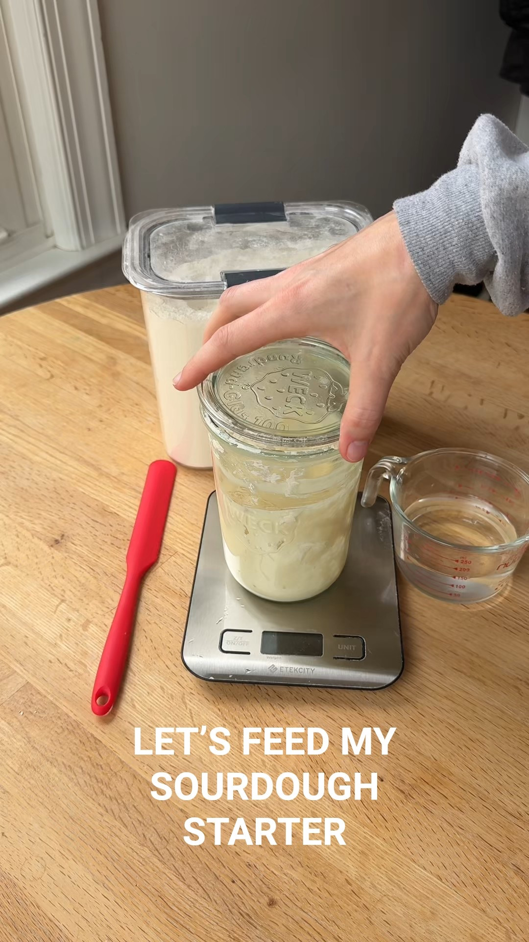 Let’s feed my sourdough starter!!! I actually got these jars from Crate & Barrel but I don’t see them on LTK. I linked to the closest thing I could find on Amazon! #sourdough #sourdoughstarter 

#LTKFindsUnder100 #LTKGiftGuide #LTKHome
