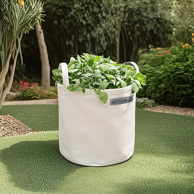 Collapsible Canvas Garden Bag 20 Gallon, Heavy Duty Reusable Lawn and Leaf Yard Waste Bag with 4 ... | Amazon (US)