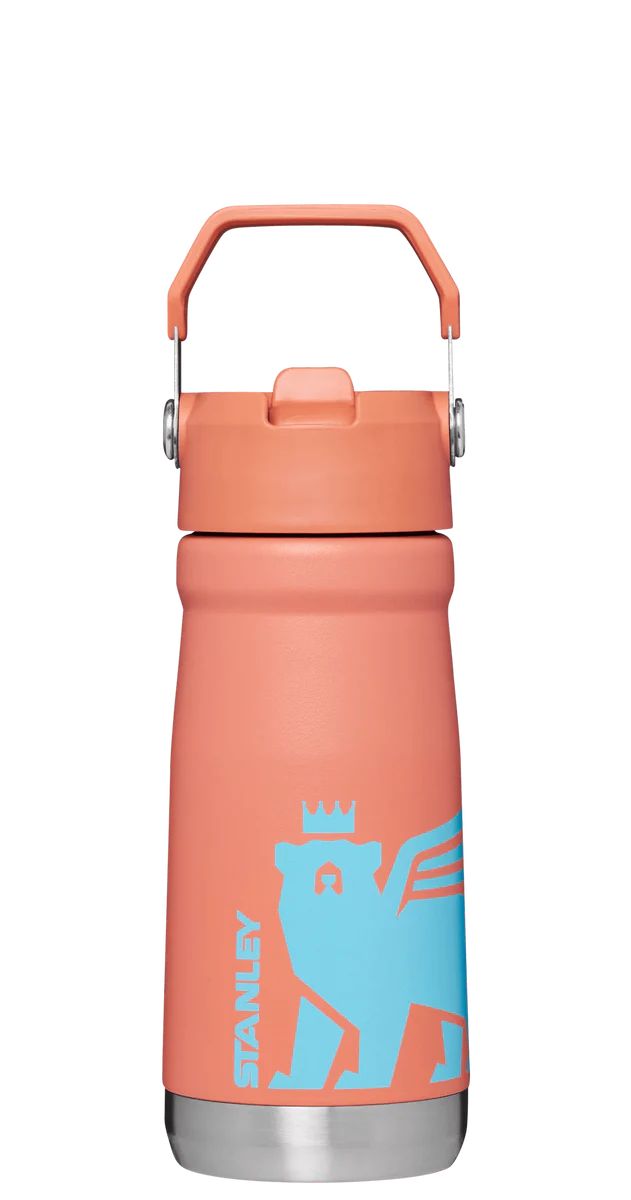 The Wild Imagination IceFlow™ Flip Straw Water Bottle | 17 OZ | Stanley PMI US