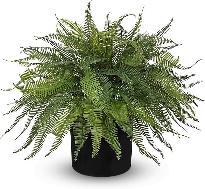 Hollyone 16.9" Fake Fern Faux Boston Fern in Pot Artificial Ferns for Outdoors Indoor Large Ferns... | Amazon (US)