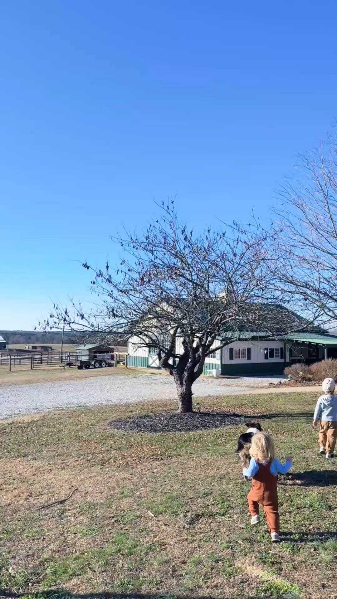 sweet little farm morning 🐓🧺🥚 before we head out shortly to a local friend’s home 🏡 for a little play date!! 🫶🏽 happy “friday eve,” y’all!! 🌳
