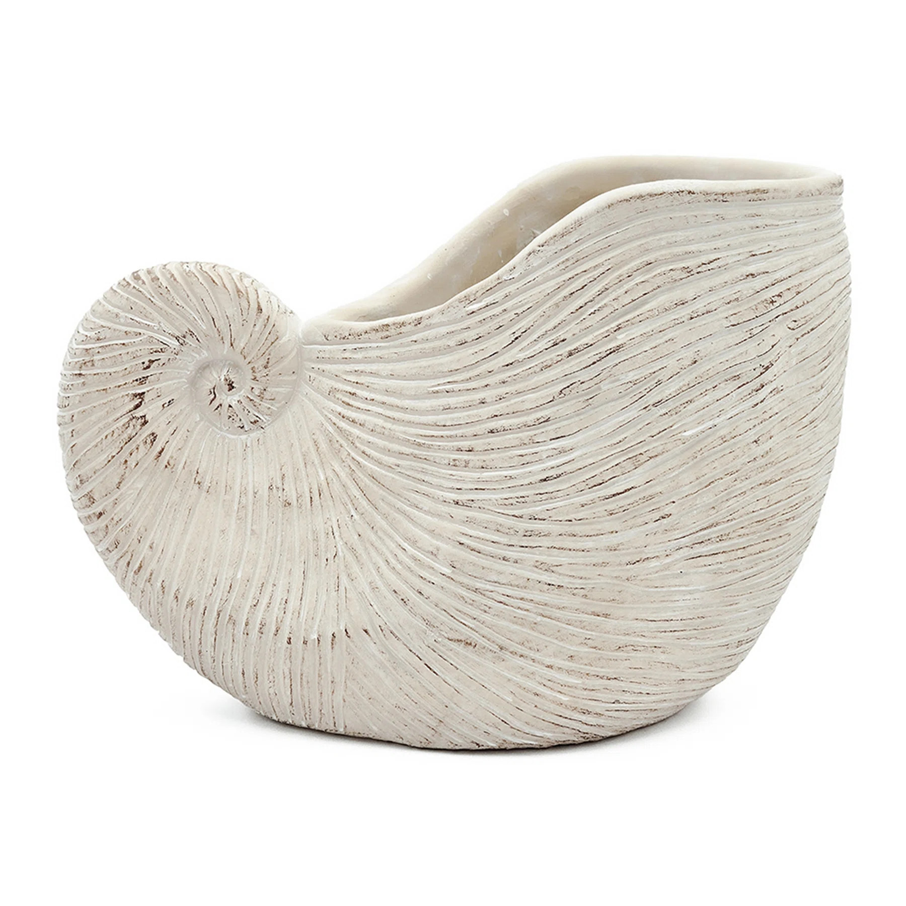 Sand and Cement Nautilus Shell Planter with Textured Beige Finish | Wayfair North America
