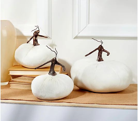 Set of 3 Velvet Plush Pumpkins by Valerie | QVC