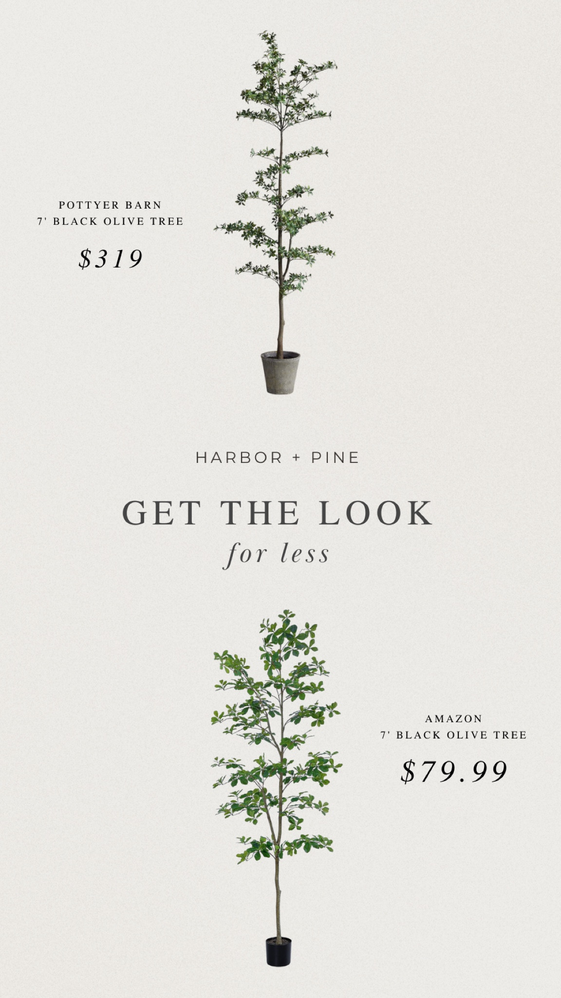 Get the look for less: 7’ faux black olive tree

#LTKStyleTip #LTKHome #LTKFindsUnder100