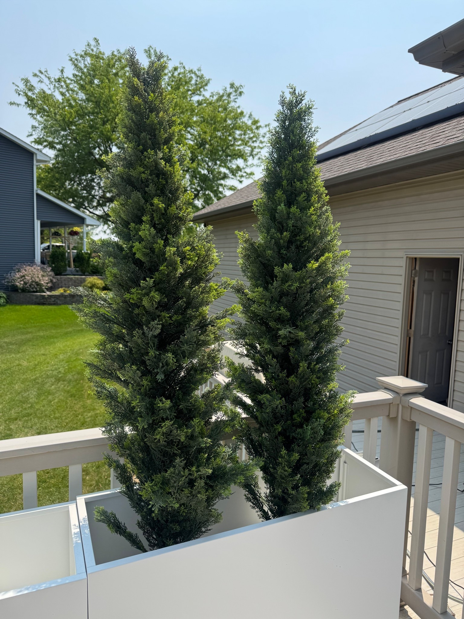 Faux Arborvitae Plants 

#LTKHome