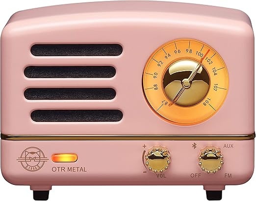 Vintage Bluetooth Speaker, Muzen OTR Metal Retro FM/AUX Radio with Old Fashioned Classic Style, P... | Amazon (US)