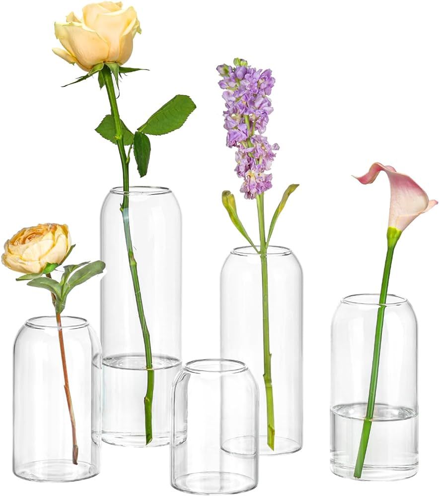 Amazon.com: Shanranplus Bud Vases Set of 5, Cylinder Vases for Centerpieces, Glass Vases for Flow... | Amazon (US)