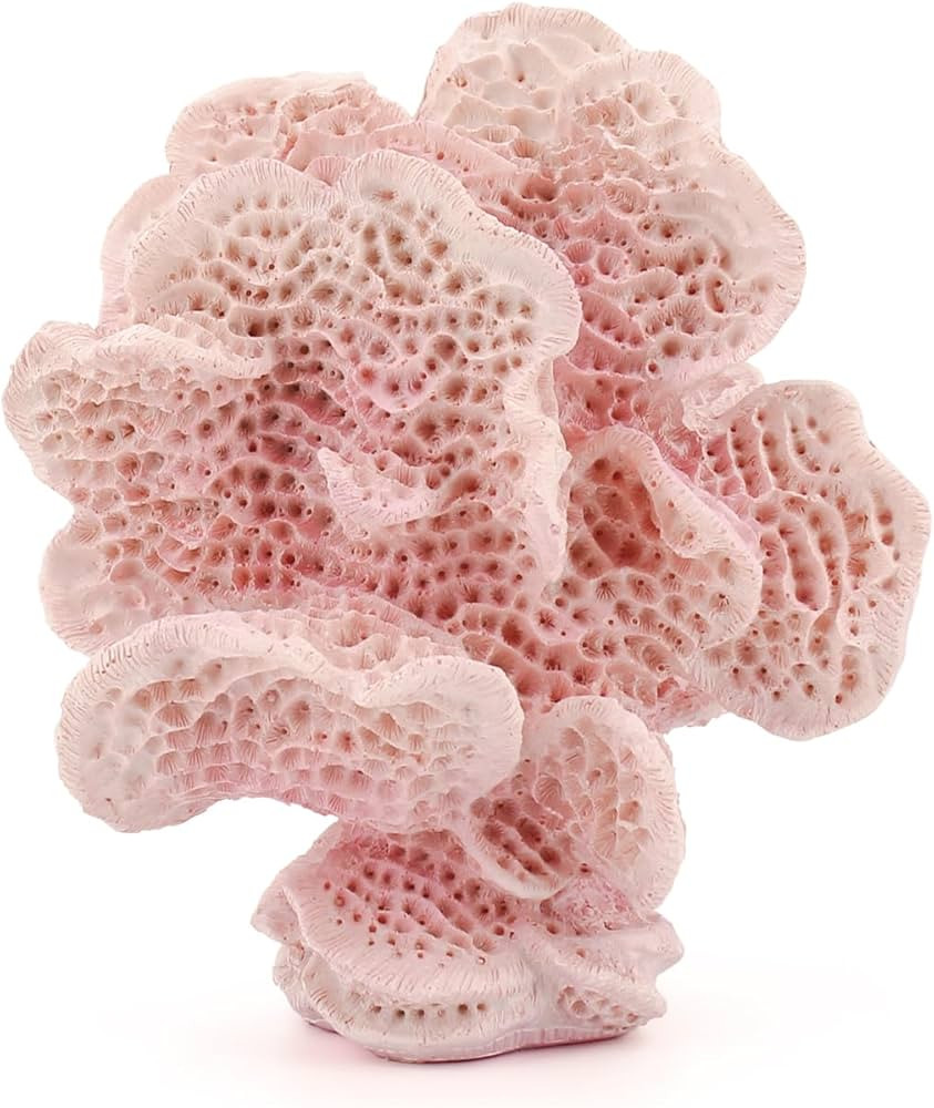 Accessoryway Blush Pink Coral Reef Decor,Modern Coastal Decor for Home: Small Faux Coral Statue f... | Amazon (US)