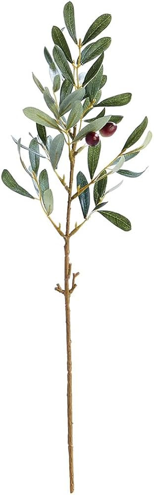NAPA Home & Garden Olive STEM 19.5" | Amazon (US)