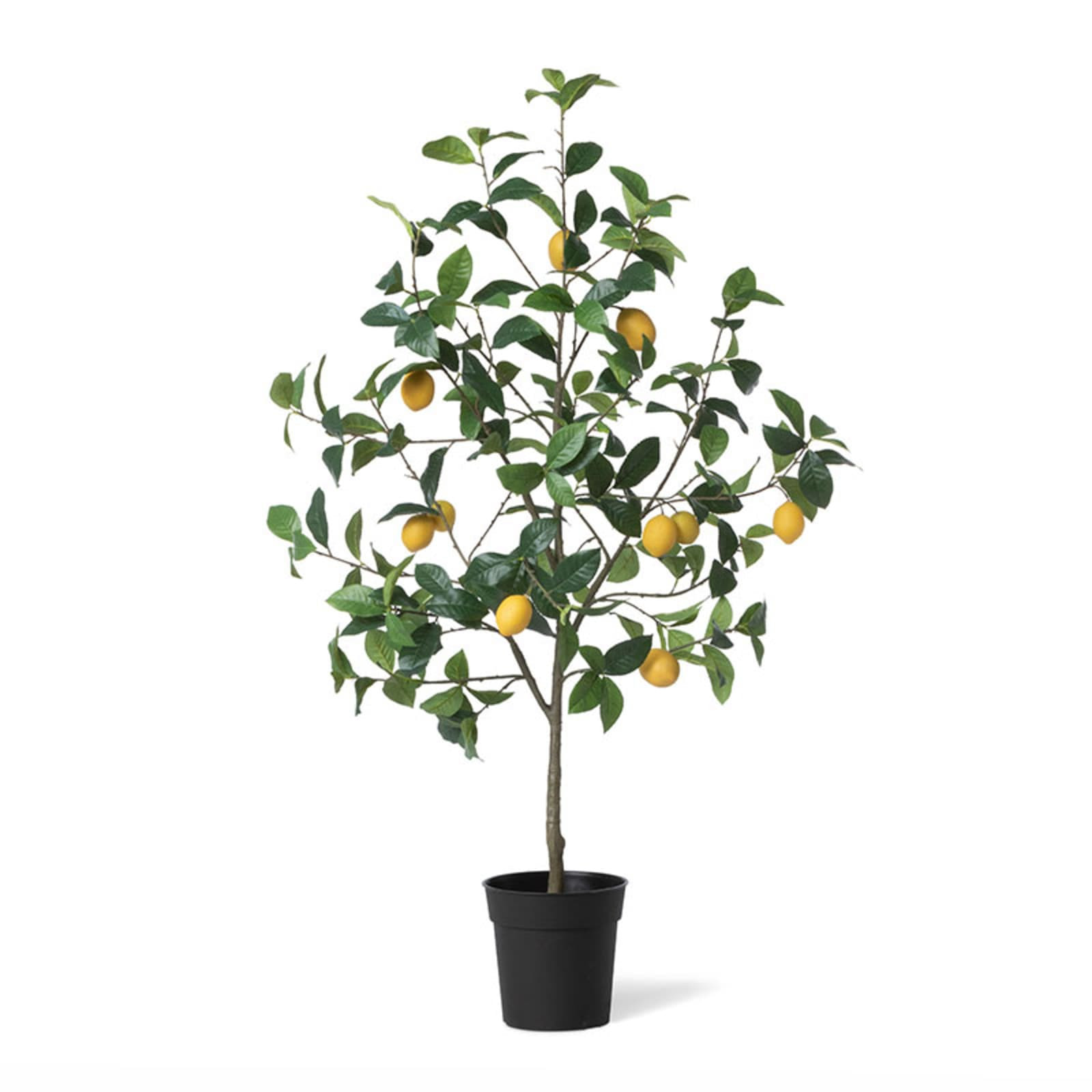Faux Lemon Tree | The Company Store