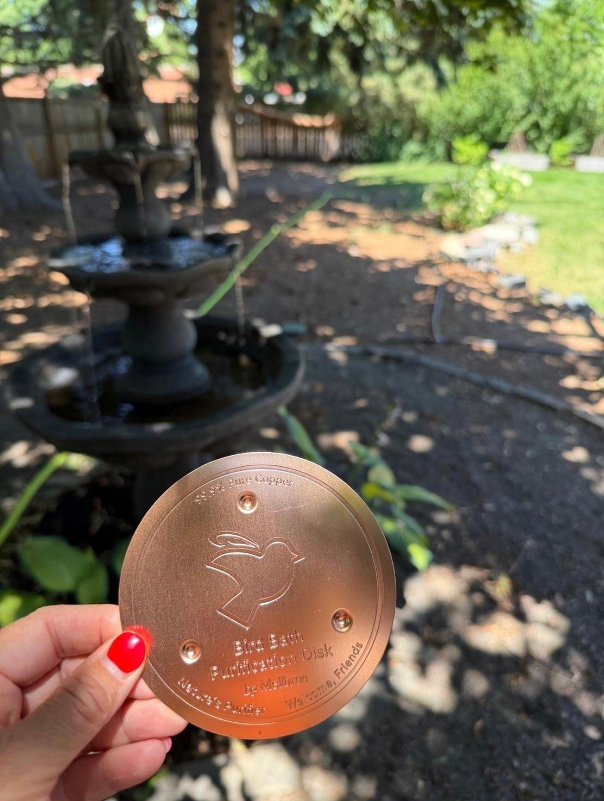 If your bird bath seems to turn green the second you fill it up, you’re not alone 💦 I came across these copper disks and thought they were such a clever little idea for helping keep the water cleaner between refills 🌿

#LTKSeasonal #LTKHome #LTKSaleAlert