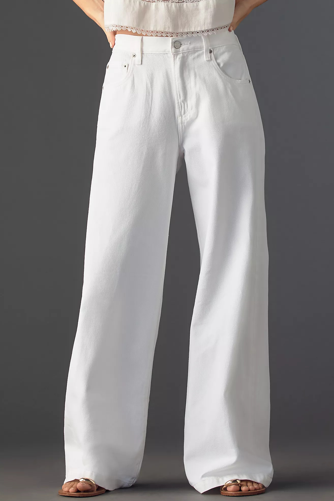 Pistola Jadyn Low-Rise Wide-Leg Jeans | Anthropologie (US)