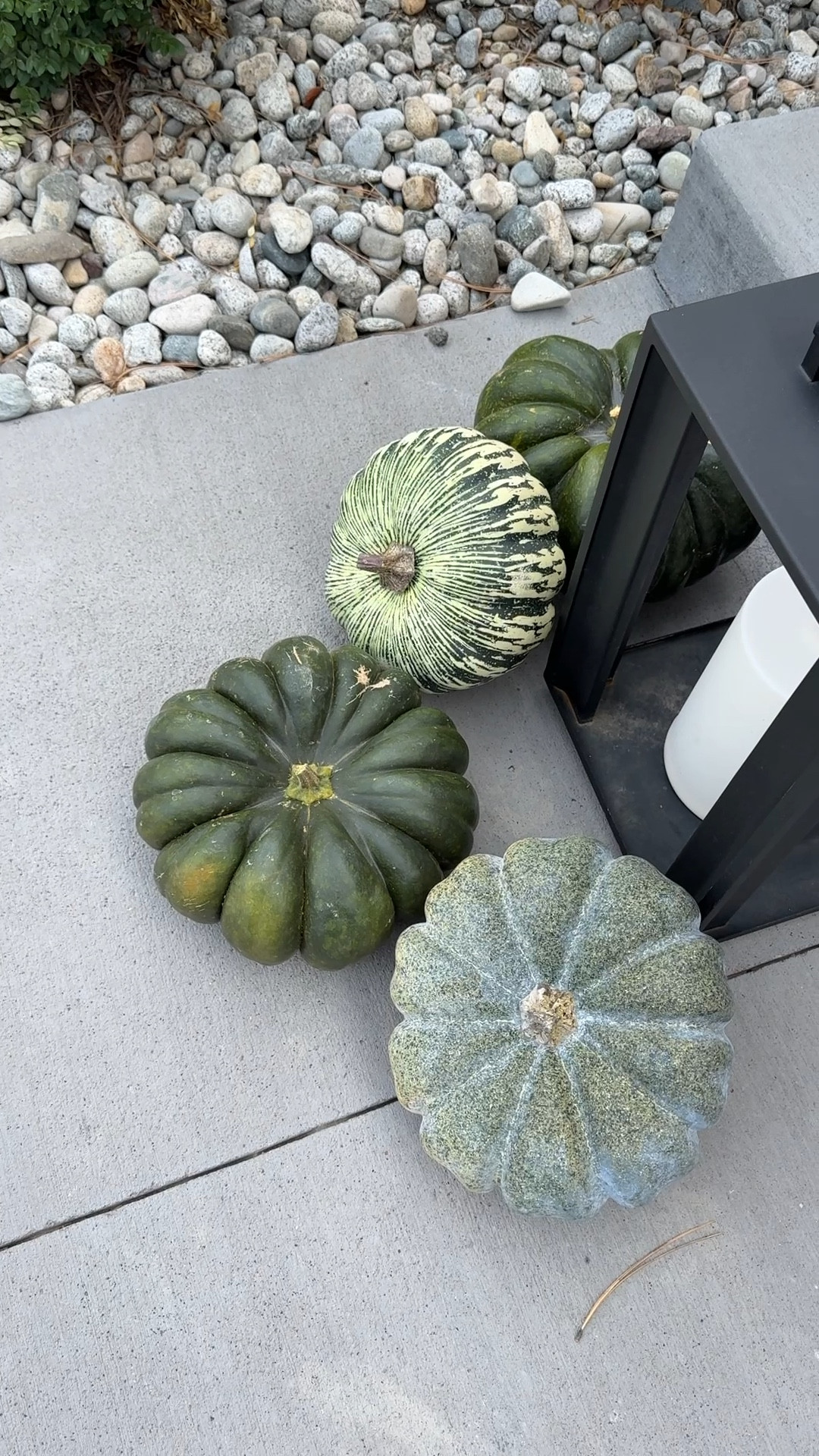 The green pumpkins are so good! I have a mix of faux and real for the front porch. I’m going to continue to add to my collection to help make it more full!

#LTKSeasonal #LTKHalloween #LTKHome