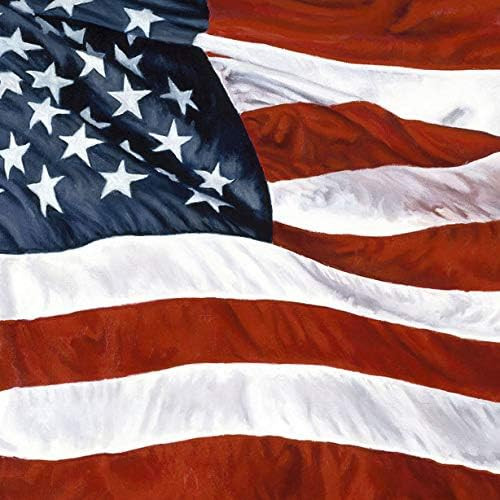 Iconikal Disposable Dinner Paper Party Napkins, American Patriotic Flag, 85-Count | Amazon (US)