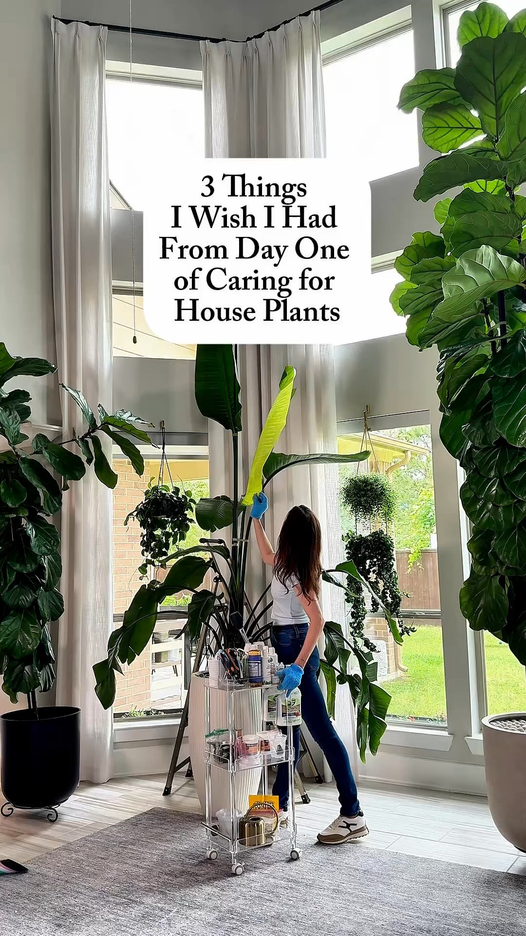 Plant care should be easy — and these 3 products make it exactly that 🌿 A mobile plant care cart, a lightweight step ladder, and a mobile repotting station. Game changers, every single one. 

Comment MUST HAVE below and I’ll send you the links! 🌱

#houseplants #plantcare #plantmom #houseplantcommunity #plantparent
houseplant must haves | plant care products | easy plant care tips

#LTKOver40 #LTKHome #LTKmomlife