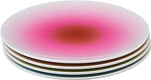 French Bull 6" Melamine Dinnerware Colorful Appetizer Plate Set, 4 Piece - Ombre | Amazon (US)