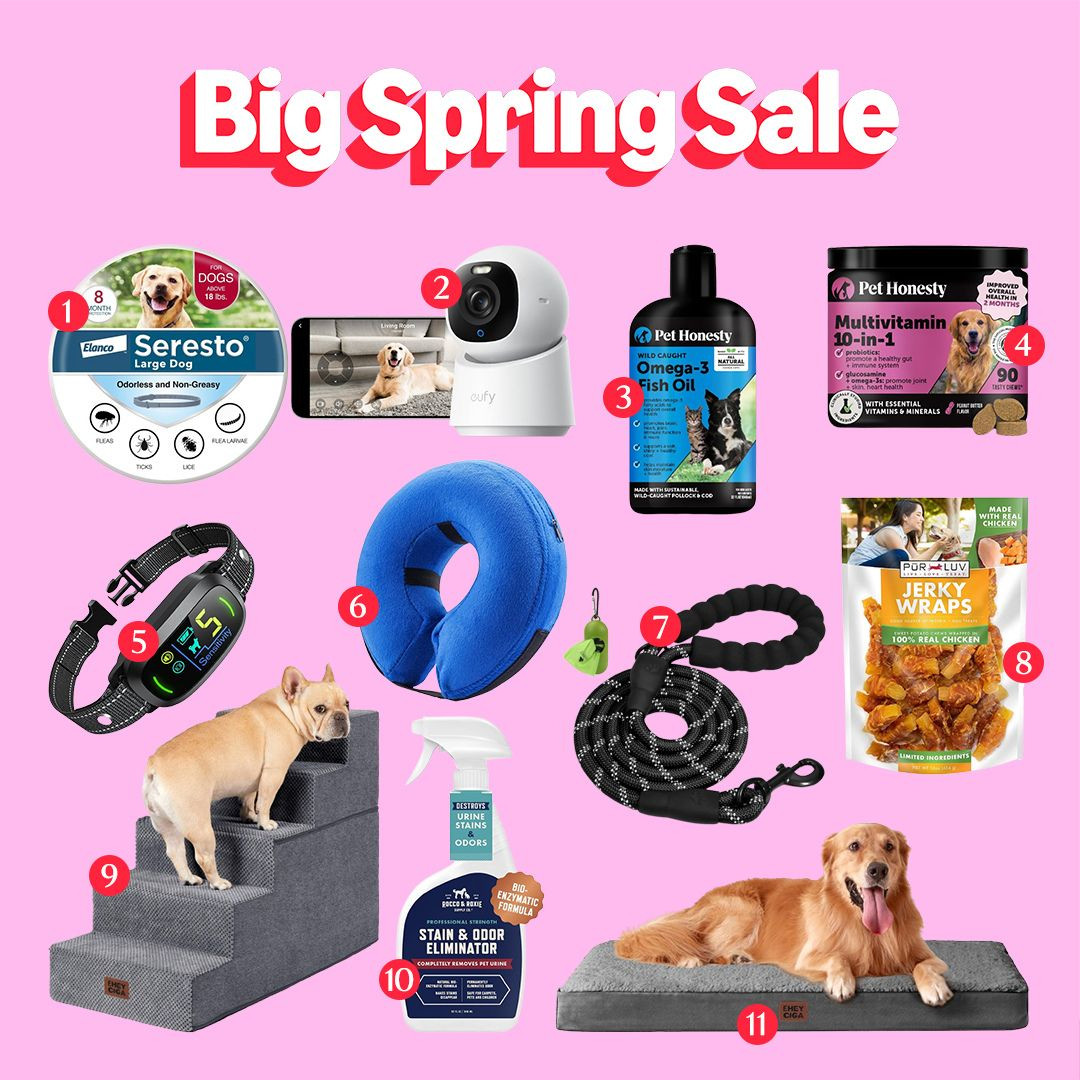 The Big Spring Sale on Amazon is here 🐶🐱✨—the perfect time to grab essentials and fun finds for your pets. From everyday supplies to toys and accessories, these picks help keep your dogs and cats happy and comfortable.
Whether you’re restocking or trying something new, now’s the best time to shop your must-haves. Don’t miss the Big Spring Sale on Amazon—save your favorites and treat your pets today 🐾💖
#LTKSaleAlert #LTKPets #LTKFinds #AmazonSpringSale #BigSpringSale #PetEssentials #DogLovers #CatLovers #PetFinds #AmazonFinds #PetCare #DogLife #CatLife #PetSupplies #FurBaby #PetLove #HappyPets #TrendingNow 

 