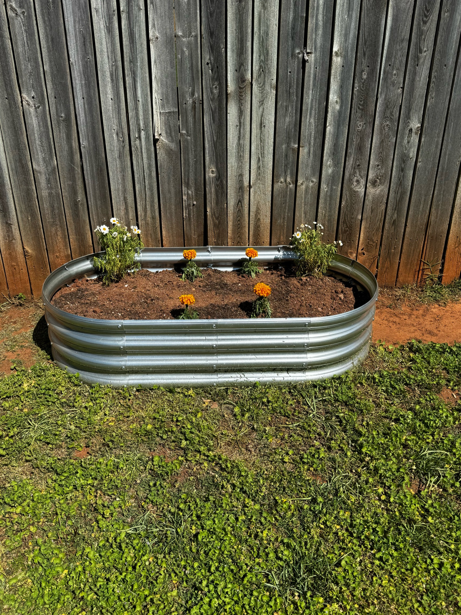 Spring is here & my toxic trait is buying all the dying plants & trying to save them. 🔆🥹


Backyard | Porch | Flower Planting | Garden | Planters | Outdoors | Spring | Seasonal | 

#LTKhome #LTKSeasonal