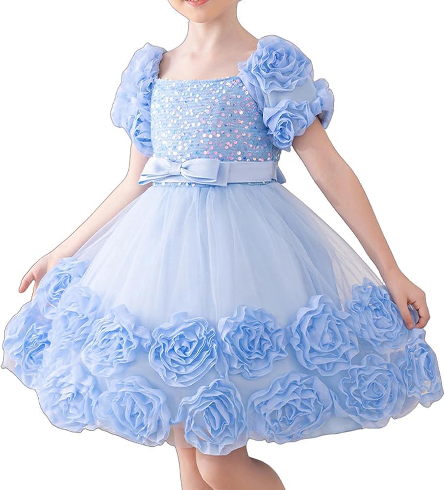 Little Girl Dress with 3D Floral Embroidery Flower Girl Dresses for Easter, Wedding, Birthday Or ... | Amazon (US)