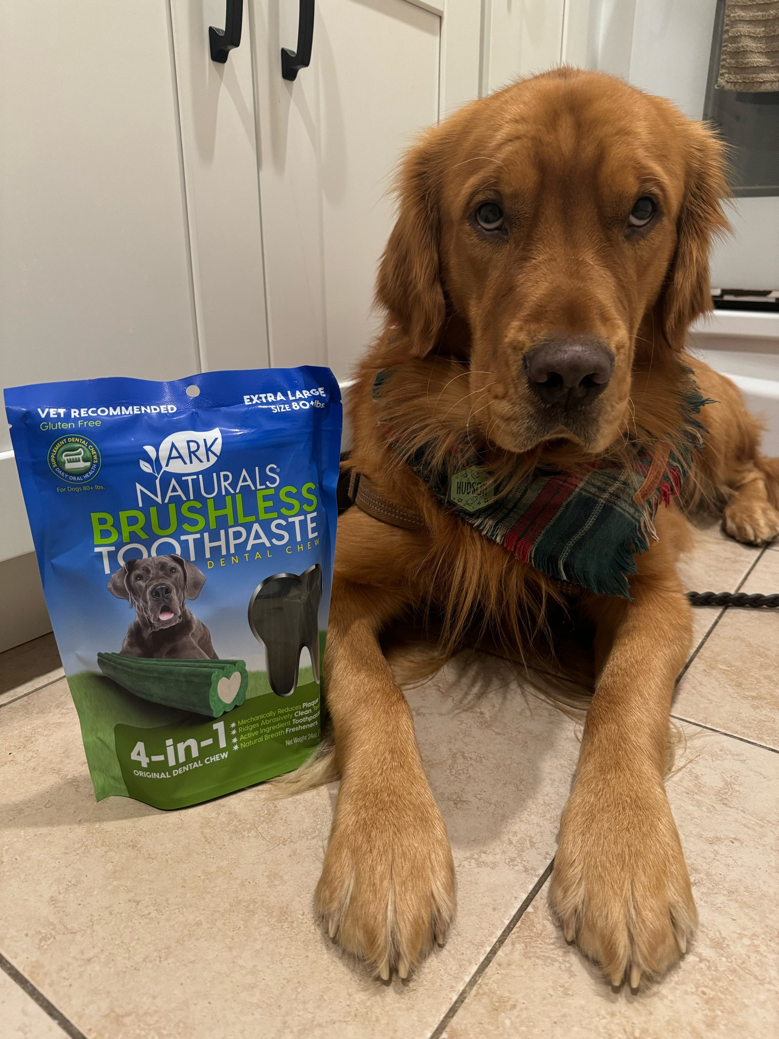 Natural Dog dental chews ! Based on weight (:
I give one to Hudson every morning! 