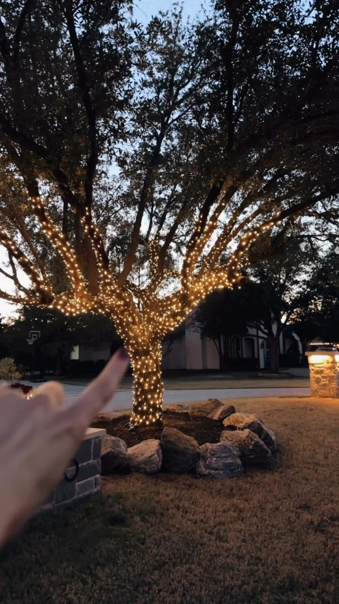 Strand lights for our tree! 🌲 also linked our landscaping lights and 4’ lit wreath 

#LTKHome #LTKSeasonal #LTKHoliday
