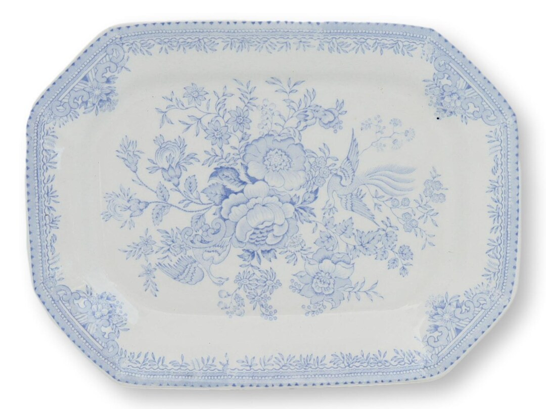 C. 1940s English Asiatic Pheasant Platter - Etsy | Etsy (US)