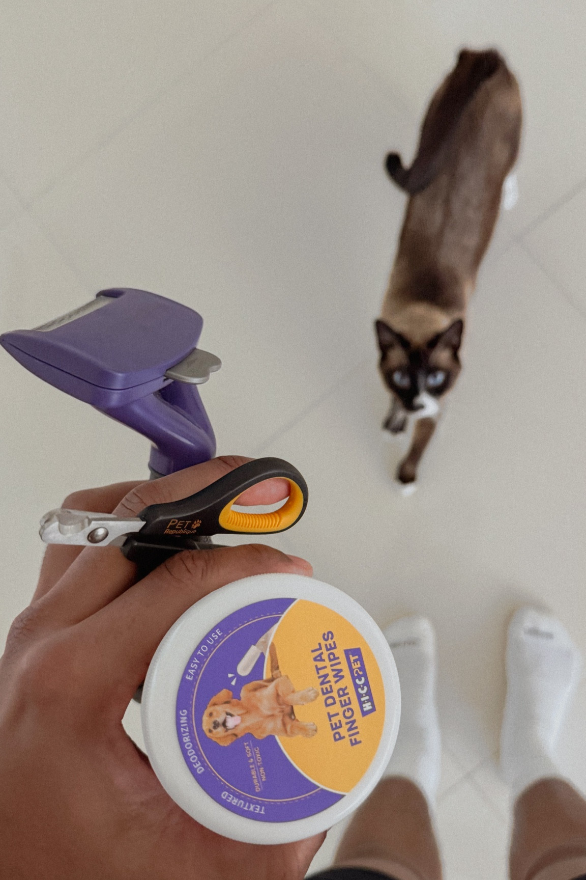 Cat Grooming Essentials 