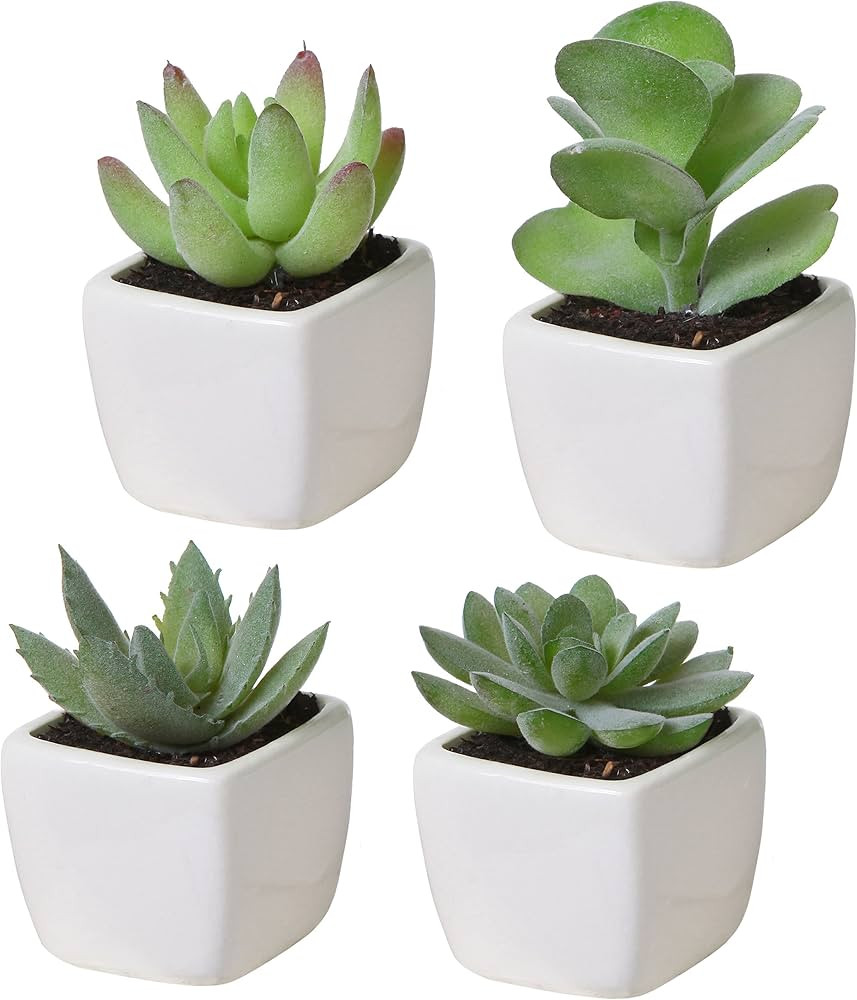 MyGift Set of 4 Mini Assorted Green Decorative Artificial Succulent Plants in Square White Glazed... | Amazon (US)