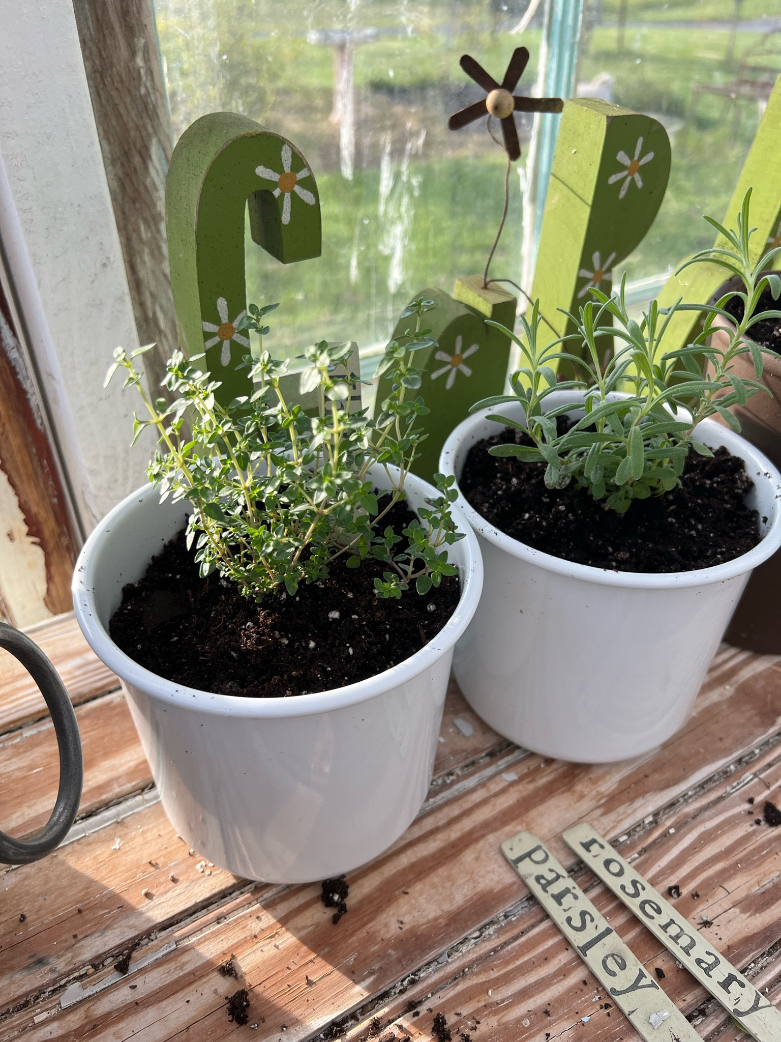 Spring Planters 🌱 #target #ikea #plants #herbs #garden #outdoorrs

#LTKxTarget #LTKhome #LTKsalealert