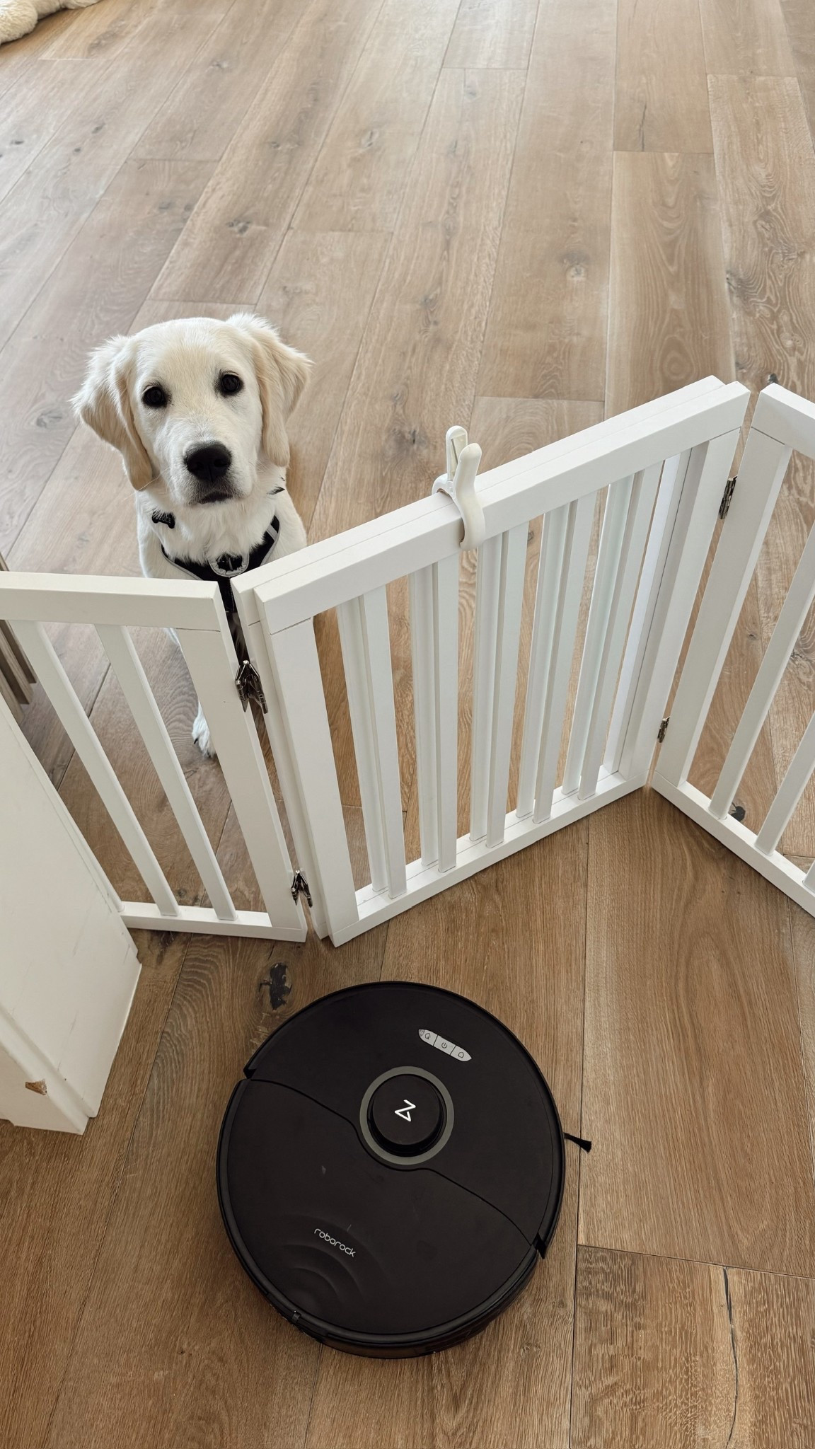 We have found this to be so useful in our home!!
StylinByAylin, Aylin #home #amazon

#LTKHome #LTKGiftGuide #LTKHoliday