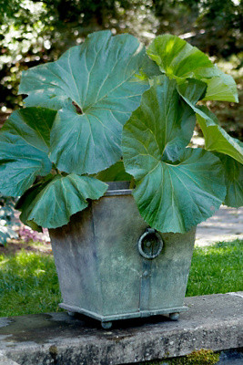 Ring Handle Iron Taper Planter, 20" | Terrain