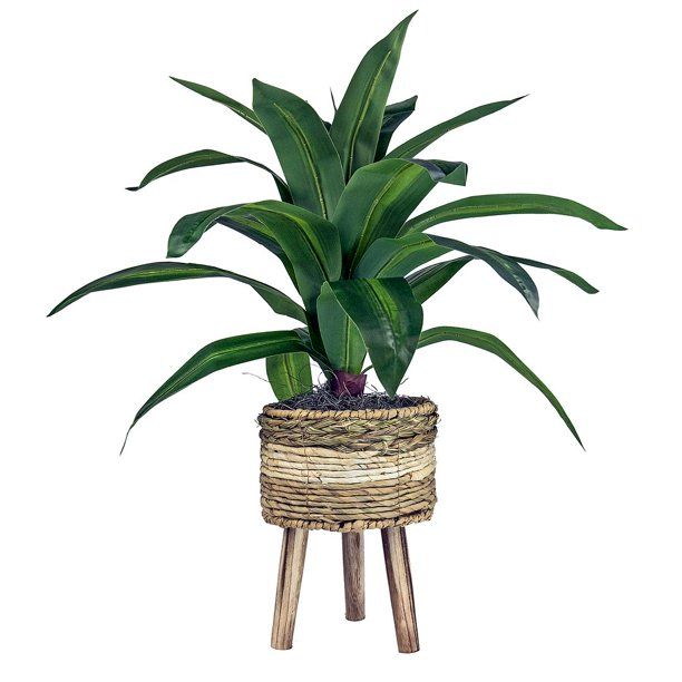 LCG Sales 24" Faux Dracaena Plant in Multi-Color Tripod Basket Stand | Walmart (US)