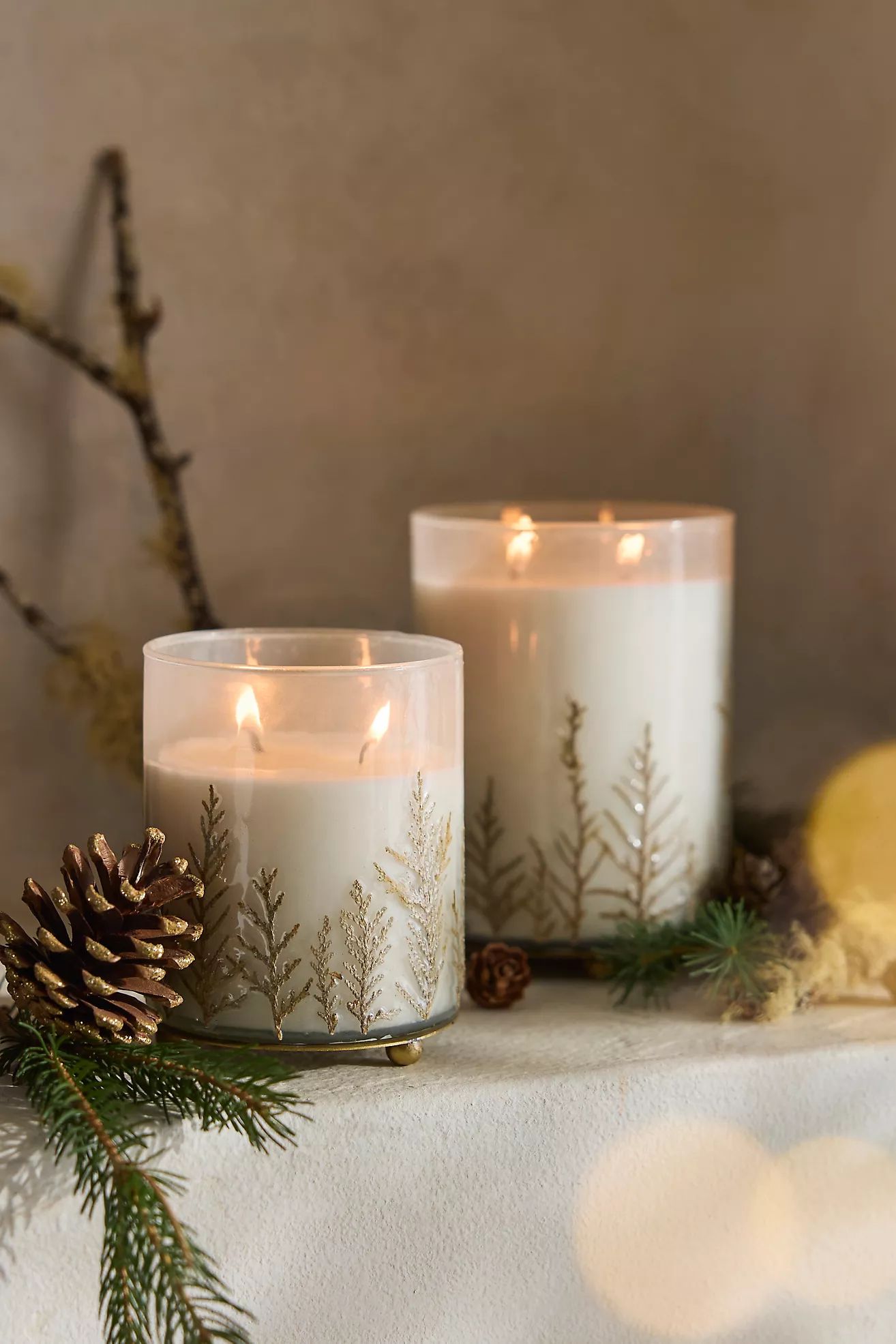 Linnea Gilded Fern Candle, Forest Fir | Terrain