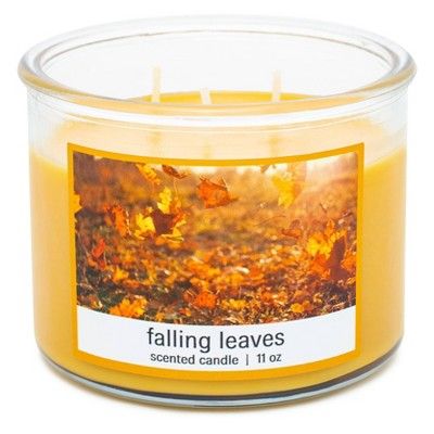 11oz Glass Jar Falling Leaves Candle | Target
