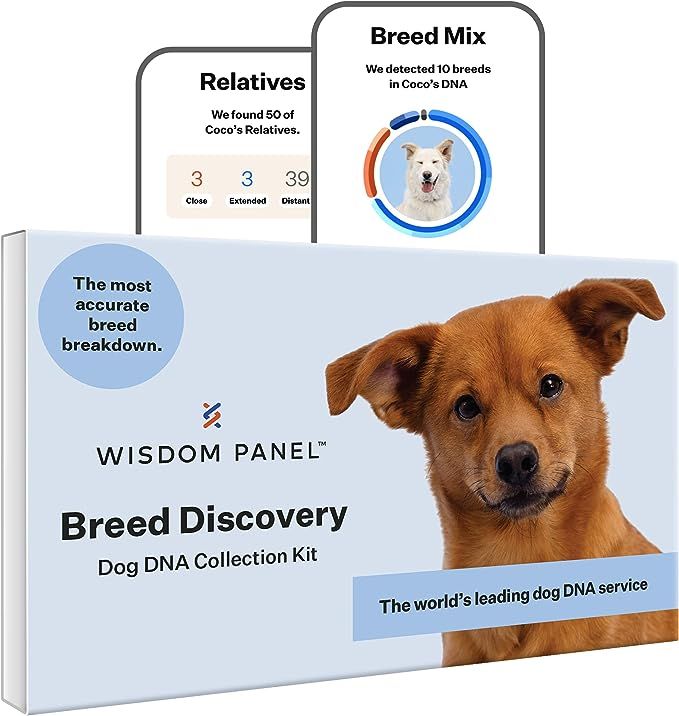 Wisdom Panel Breed Discovery 3.0: Dog DNA Test Kit for Most Accurate Breed ID | MDR1 | Ancestry |... | Amazon (US)