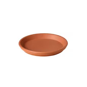 12.2-in Terracotta Clay Plant Saucer | Lowe's