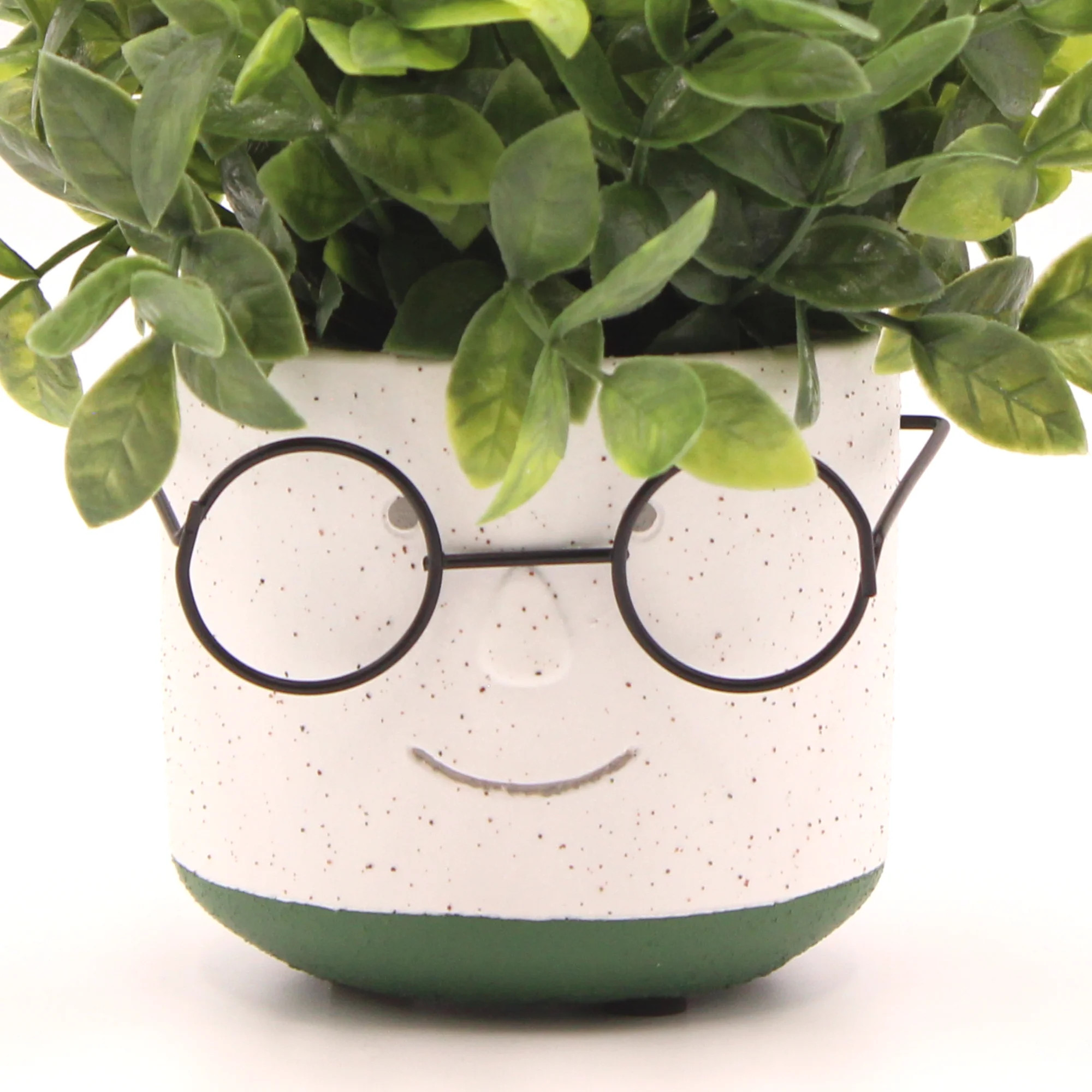 Edington Decor Face Planter Pot, Head Planter Pot, Succulent Pot with Drainage, 4 inch Unique Cut... | Walmart (US)